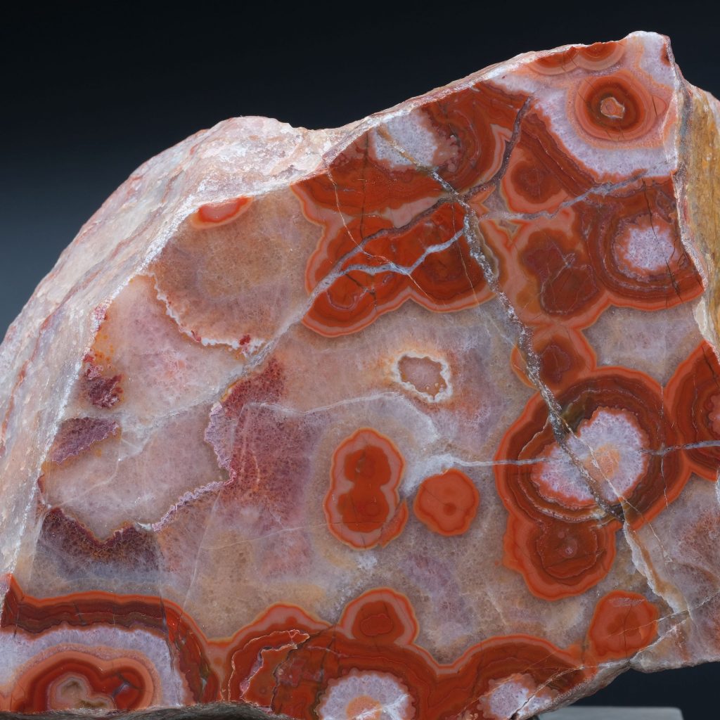 Achat Schlottwitz Kunsthandlung Kühne