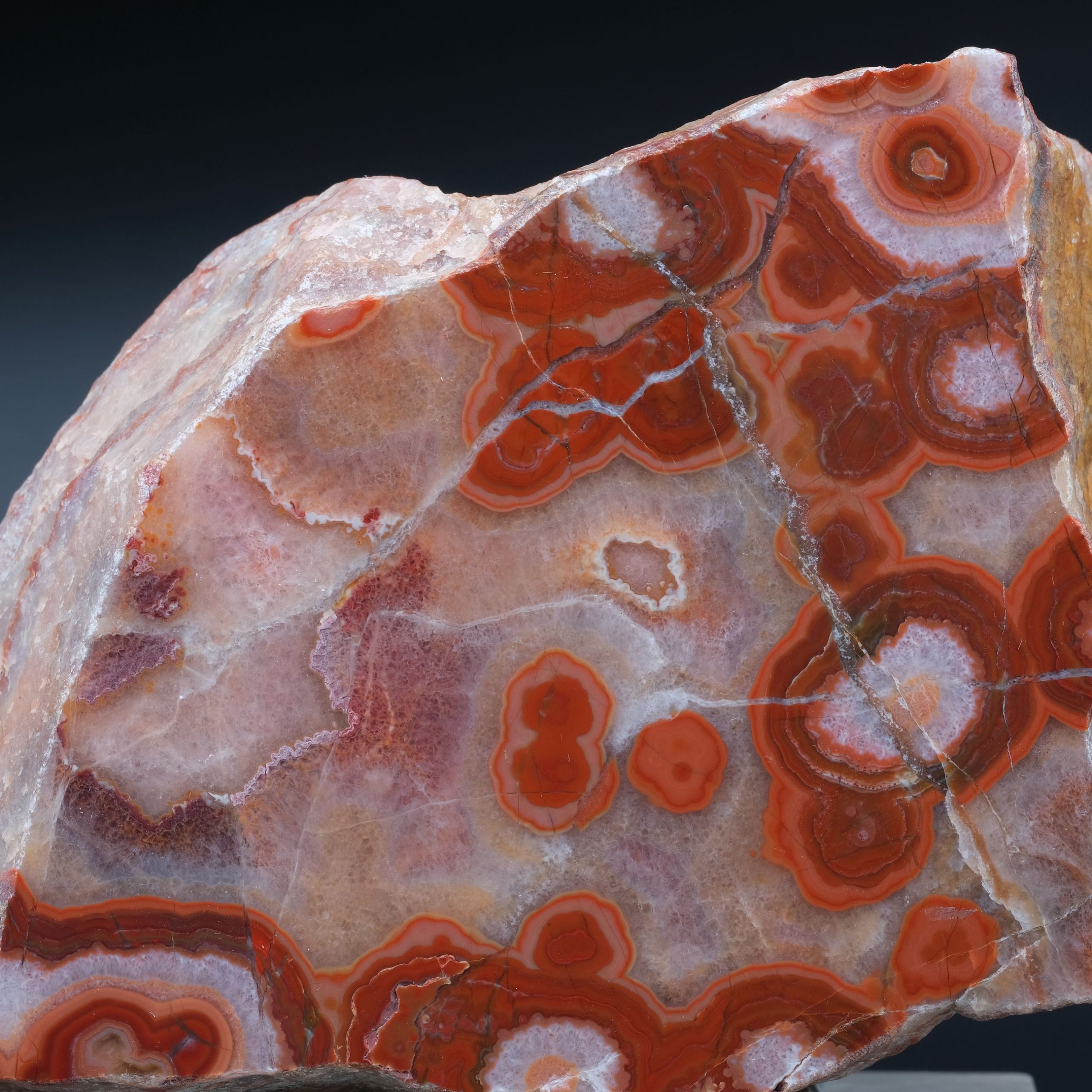 Achat Schlottwitz Kunsthandlung Kühne