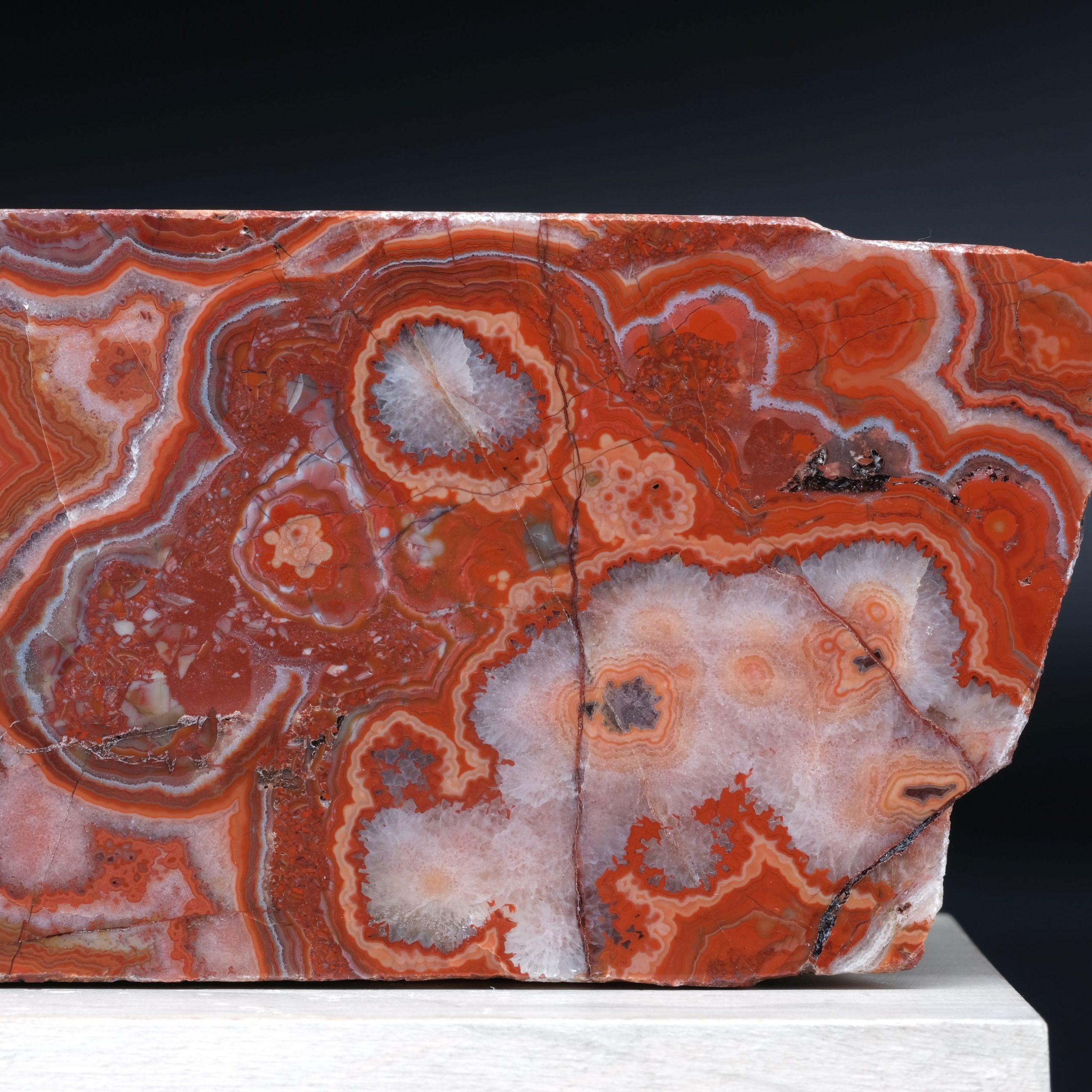 Achat Schlottwitz Kunsthandlung Kühne