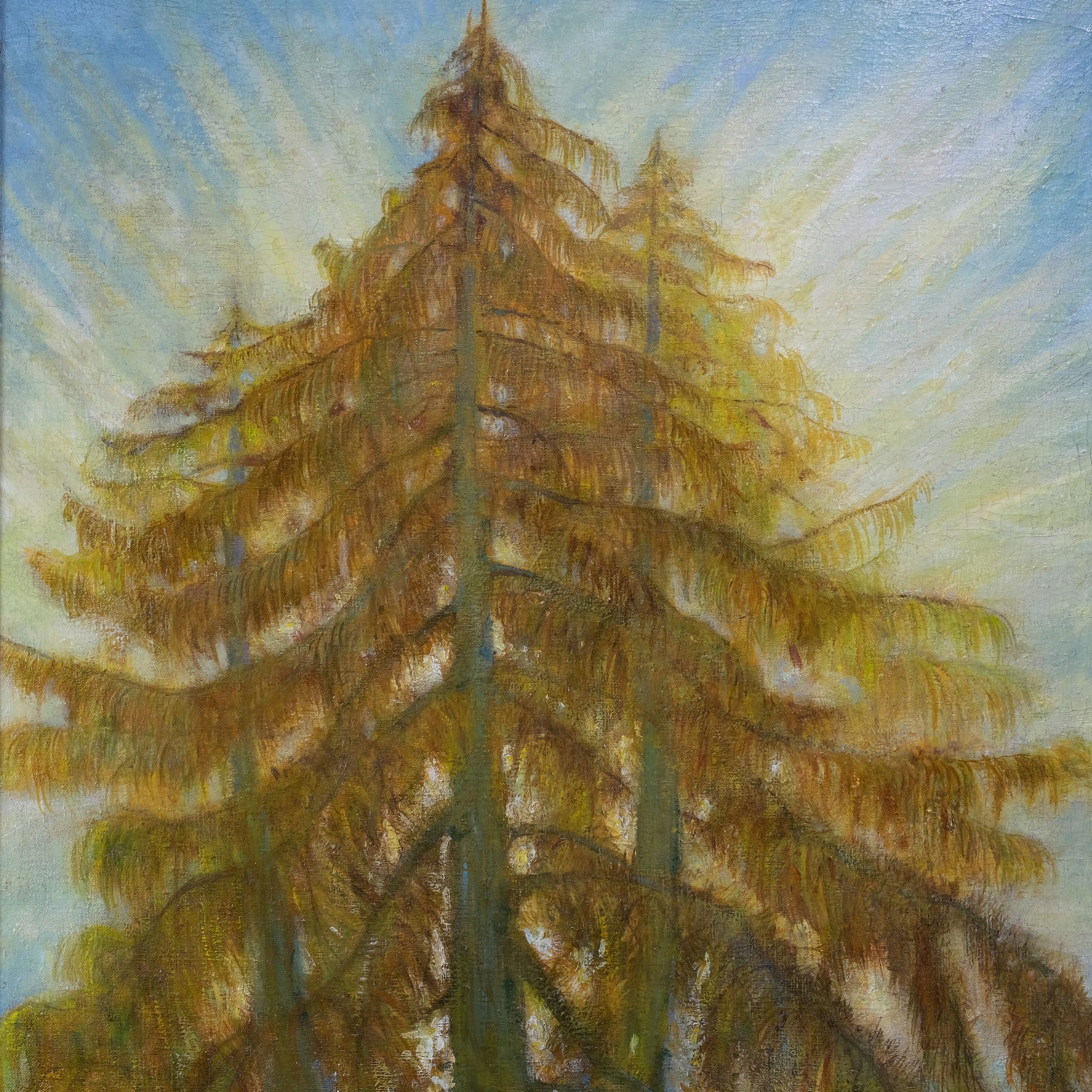 Pol Cassel Am Meer Kunsthandlung Kühne