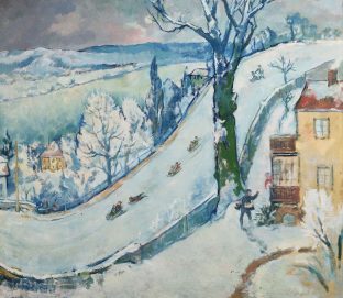 Winter in Dresden Wachwitz