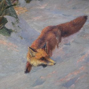 Schleichender Fuchs im Schnee