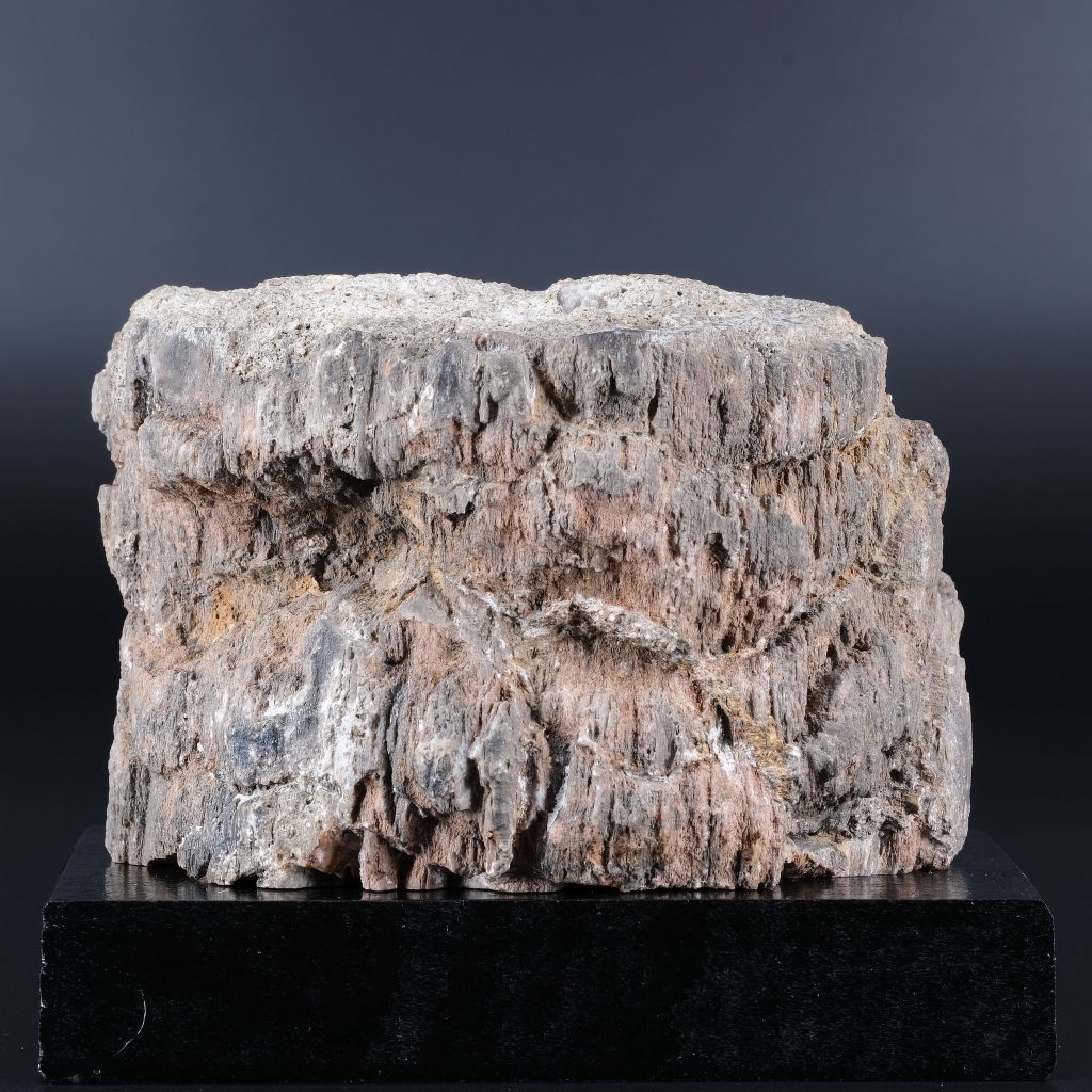 Kieselholz Chemnitz Kunsthandlung Kühne Dresden