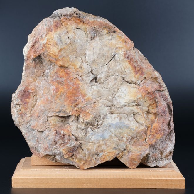 Kieselholz Chemnitz Kunsthandlung Kühne Dresden