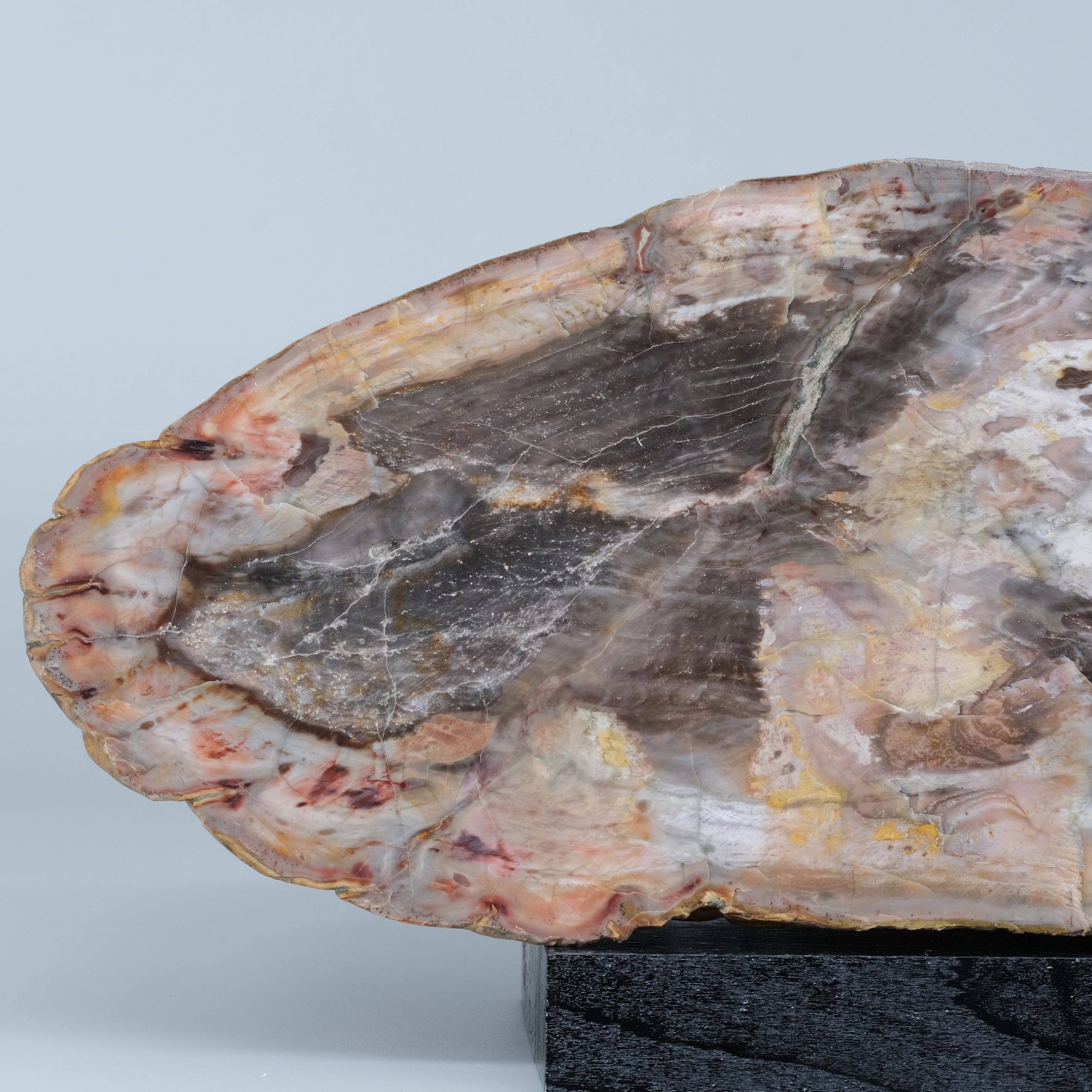 Kieselholz Sermuth Biesern Kunsthandlung Kühne