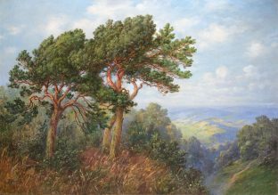 Kiefern vor weiter sächsischer Landschaft
