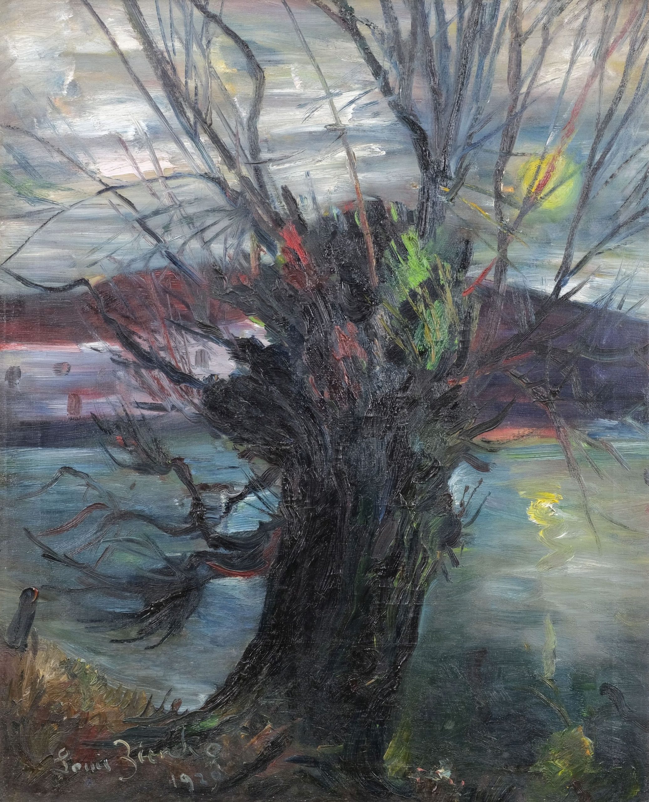Louis Ziercke Kopfweide am nächtlichen See Kunsthandlung Kühne