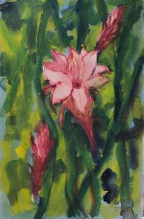 Schlangenkaktus mit Blüte