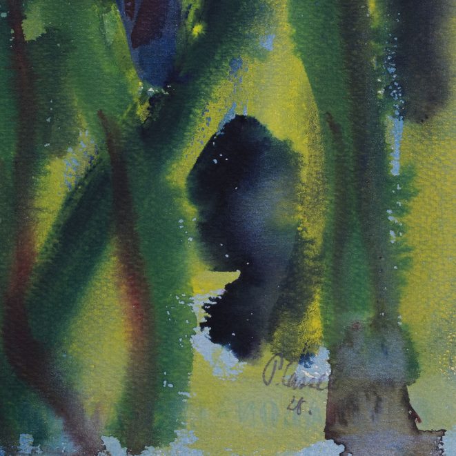 Pol Cassel Schlangenkaktus Kunsthandlung Kühne