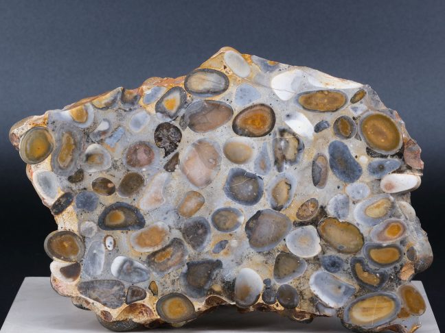 Objekt des Monats: Puddingstein