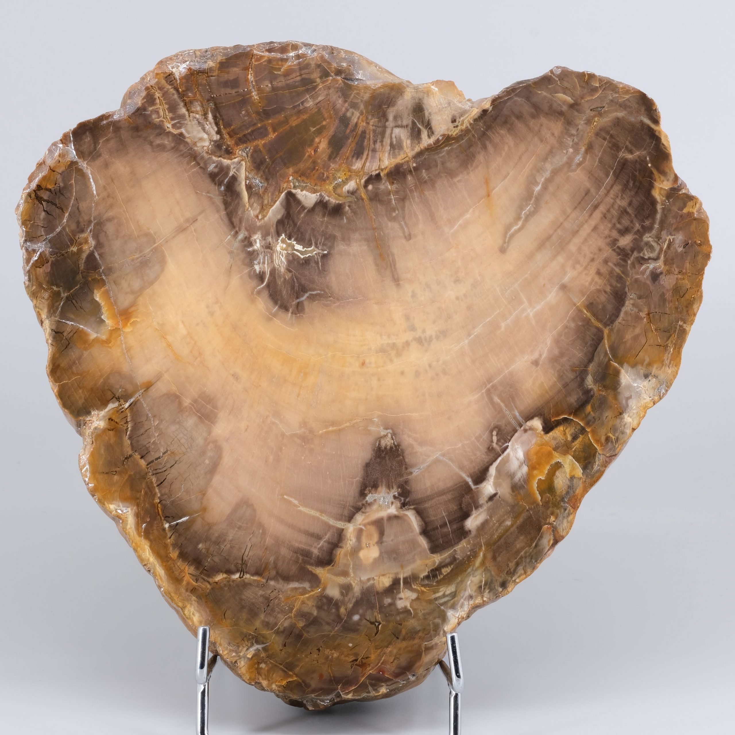 Kieselholz Kunsthandlung Kühne Dresden