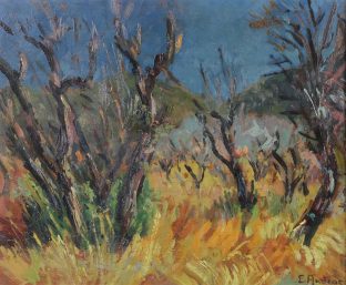 Landschaft hinter den Dünen