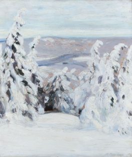 Winterwald