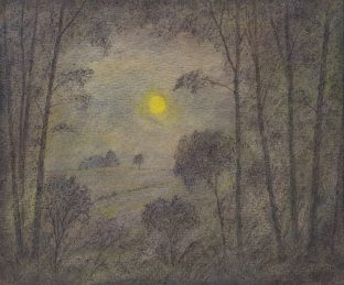 Nächtliche Waldlandschaft