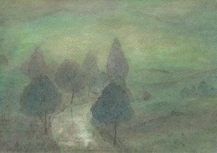 Nebelstimmung in der Aue